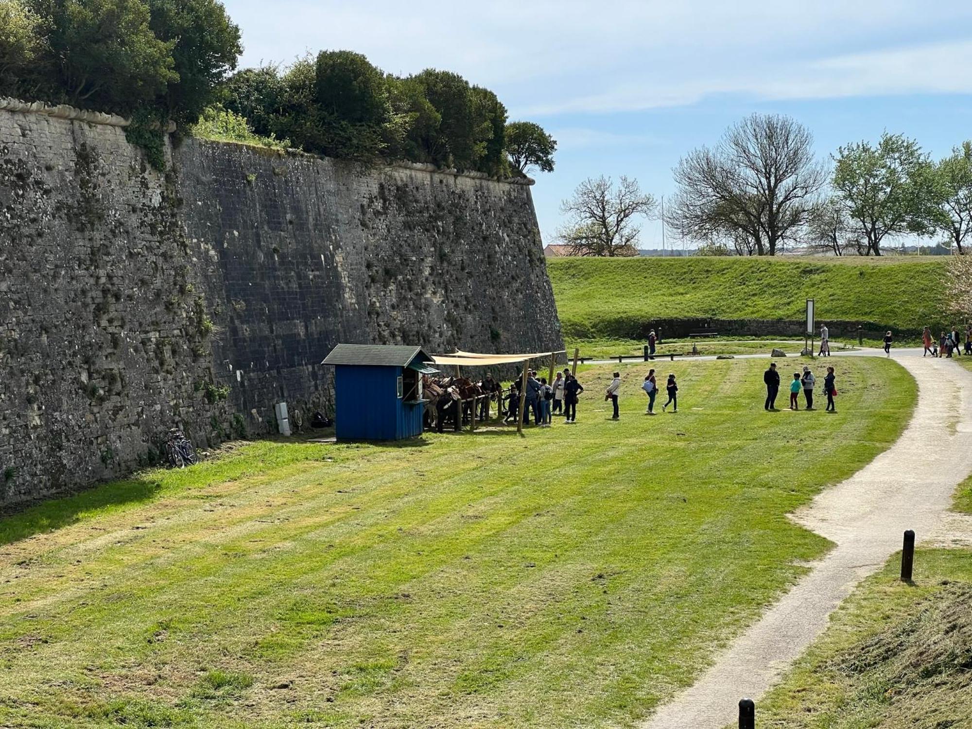 Le Château-dʼOléron Les Amareyeurs - Ile D'Oleron - Maison Classee 3 Etoiles Avec Piscine - Clim - Velos מראה חיצוני תמונה